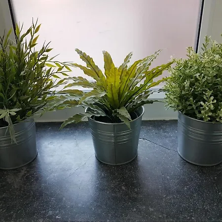 Apartment Budget BRE