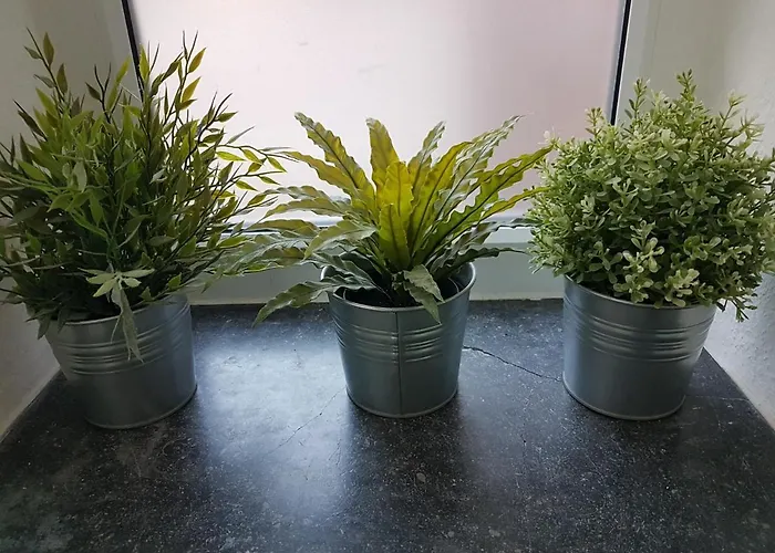 Апартаменты Budget Бремен